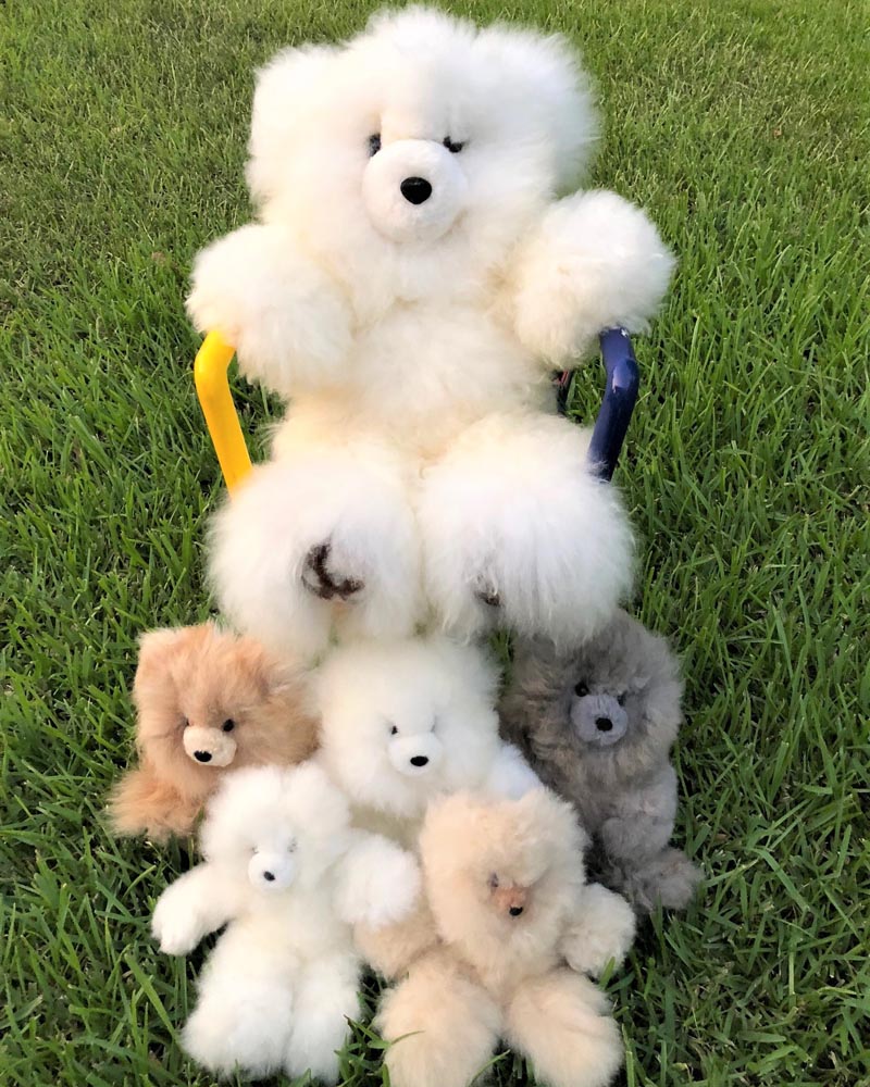 stuffed toy bears